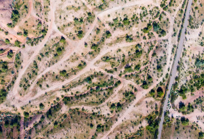 фото статьи